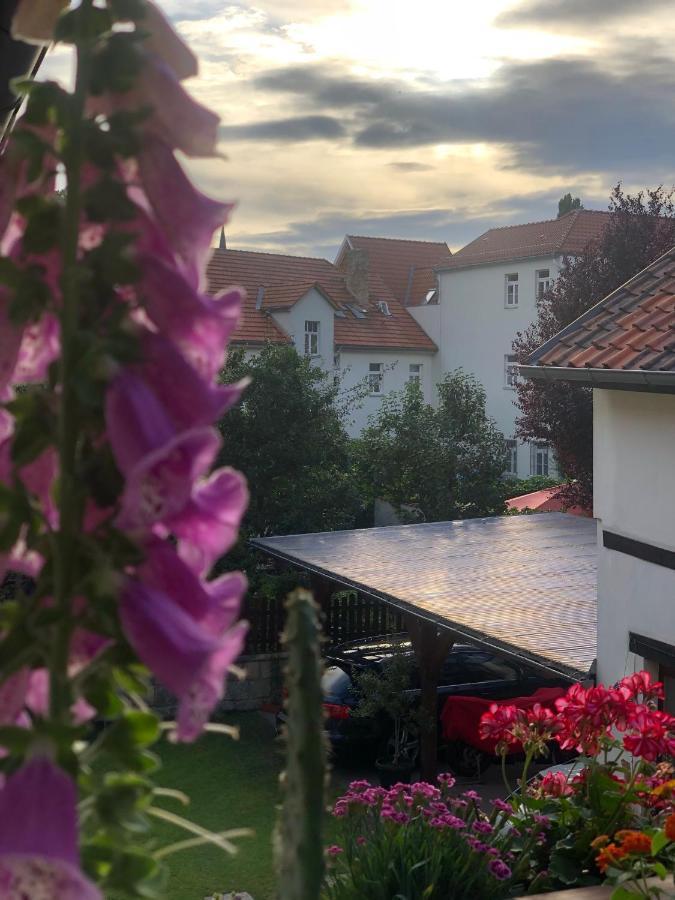 Am Mathildenbrunnen Gross Lejlighed Quedlinburg Eksteriør billede