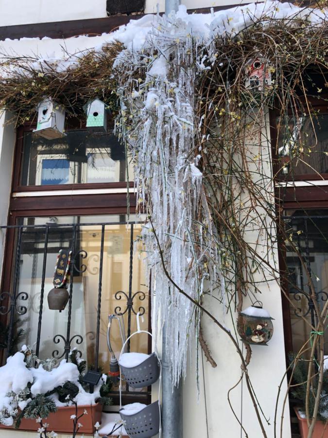 Am Mathildenbrunnen Gross Lejlighed Quedlinburg Eksteriør billede
